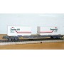 HAG  372 . 01, wagon plat type Sgss avec 2 conteneurs sur pieds DREIER  SBB  BO
