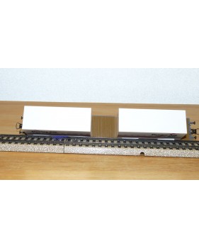 HAG  372 . 01, wagon plat type Sgss avec 2 conteneurs sur pieds DREIER  SBB  BO