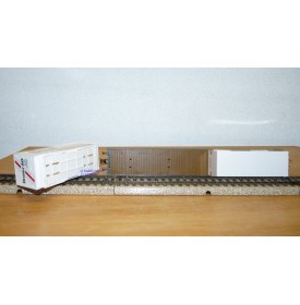 HAG  372 . 01, wagon plat type Sgss avec 2 conteneurs sur pieds DREIER  SBB  BO