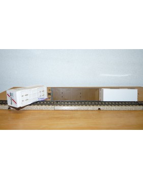 HAG  372 . 01, wagon plat type Sgss avec 2 conteneurs sur pieds DREIER  SBB  BO