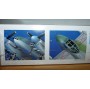 CHANCE VOUGHT F4U-1/2 "CORSAIR" birdcage 1/48 
