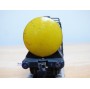 TRIX EXPRESS  20 / 68, wagon citerne  SHELL 
