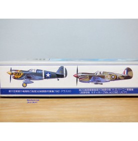 ARII  A332 600, chasseur américain Curtiss P-40E  Warhawk 
