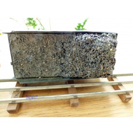 FABRE & MARESCOT  ???, coffret ETAT : 1 loco 220, 4 voitures, rails et alimentation BO