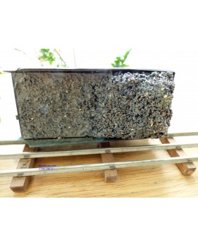 FABRE & MARESCOT  ???, coffret ETAT : 1 loco 220, 4 voitures, rails et alimentation BO
