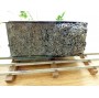 FABRE & MARESCOT  ???, coffret ETAT : 1 loco 220, 4 voitures, rails et alimentation BO