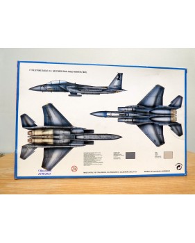 ITALERI 166,  avion de contre mesures électroniques  GENERAL DYNAMICS  EF-111A " Raven " USAF  BO Neuf 1/72