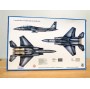 ITALERI 166,  avion de contre mesures électroniques  GENERAL DYNAMICS  EF-111A " Raven " USAF  BO Neuf 1/72
