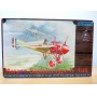 EDUARD 8010, chasseur monoplan  MORANE - SAULNIER  type Nneuf  BO  1/48  