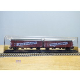 RÖWA 2304 wagon plat chargé de 2 conteneurs LESAGE  DB BO 