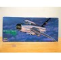 HASEGAWA  01622, intercepteur  anglais  BAC  Lightning F  Mk.6      Neuf   BO  1/72