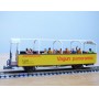 D+R Modellbahn 20099, wagon panoramique  B 2099    Rhb   BO