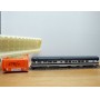 RIVAROSSI  6591, voiture de queue  (smooth side  observation car  )  N° 443   Richmond Fredericksburg & Potomac  BO