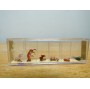 PREISER  178 , 6 figurines de biches   Neuf    BO