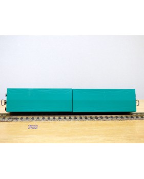 ROCO 66982 couplage porte conteneurs NEDLLOYD AAE Neuf BO