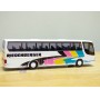 Rietze 60220 , autocar de voyage KÄSSBOHRER SETRA  S 315 HD RIEDENBERGER  Neuf   BO