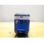  RIVAROSSI  6541 / 0, voiture de queue ( observation car )   Prairie View  GREAT NORTHERN   GN    neuf     BO