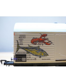 FLEISCHMANN 5350 wagon couvert DR BO