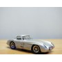 NEWCON 4-82, Mercedes Benz 300 SLR Ühlenhaut  Neuf  BO 