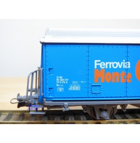 AKU ( Roco )  9005, wagon couvert  Hbis Monte Generoso   SBB      BO