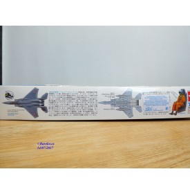 CHANCE VOUGHT F4U-1/2 "CORSAIR" birdcage 1/48 