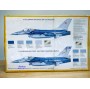 ITALERI 1204,  chasseur bombardier   F-16  A/B  NATO  FALCONBO   Neuf 1/72