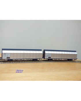 ROCO 44019, couplage de 2 wagons à parois coulissantes type  Habbins  DELACHER + CO   ÖBB   neuf   BO