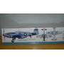 TAMIYA   61042  North American P-51B MUSTANG BO 1/48